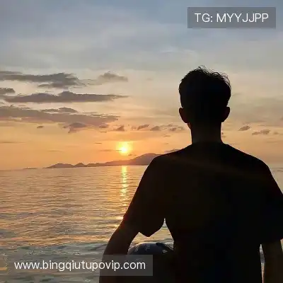 沈辉